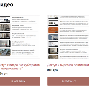 видео про вентиляцию и выращивание вешенки